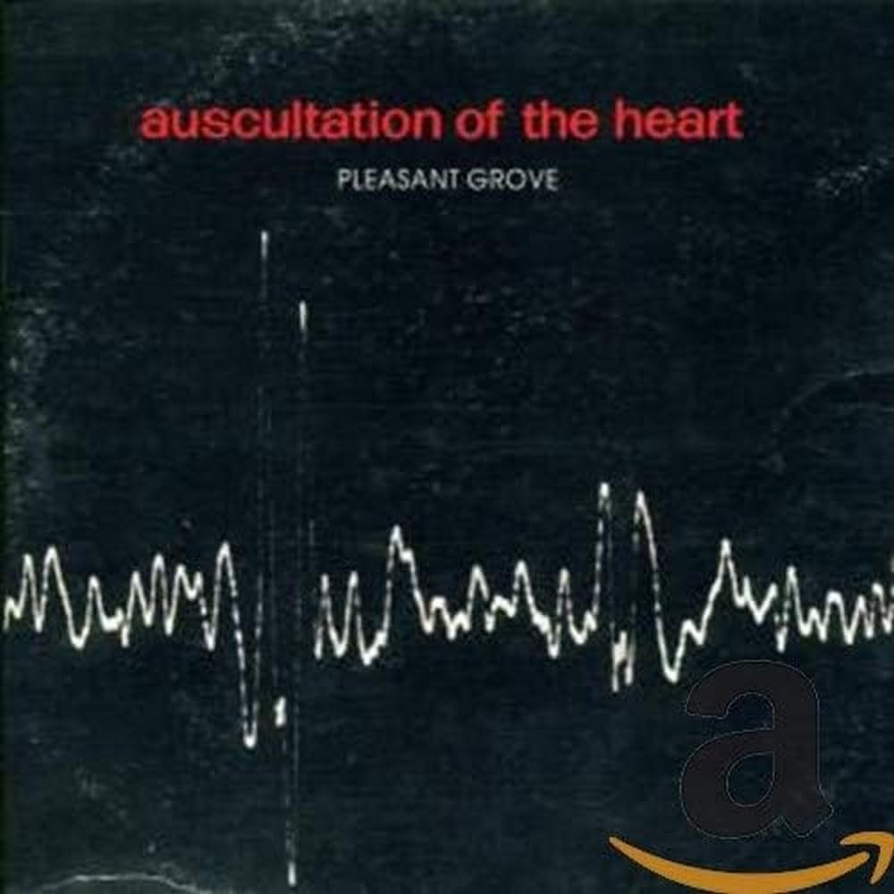 Auscultation of the Heart Alternative & Indie