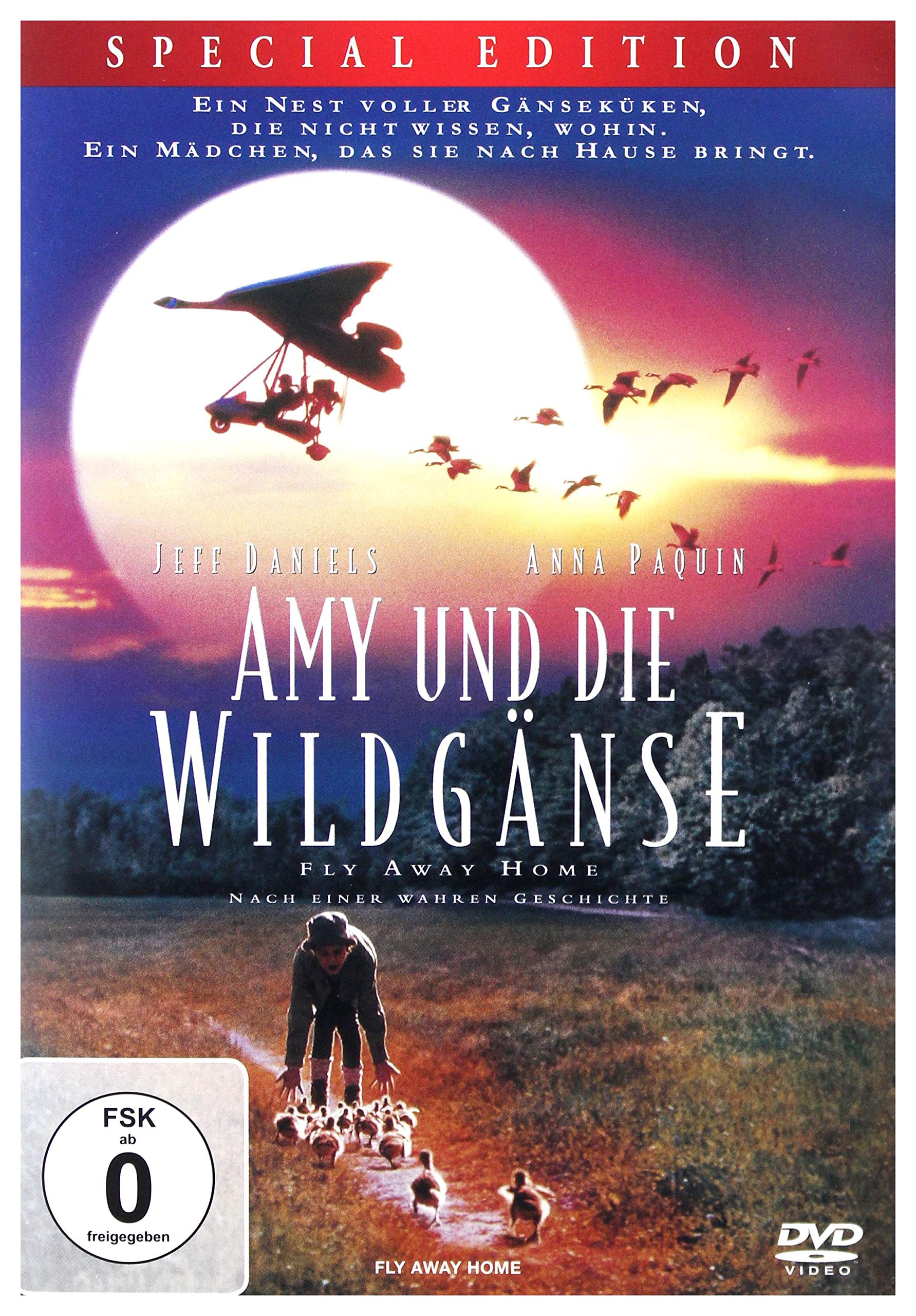 Product Image: Amy und die Wildgänse