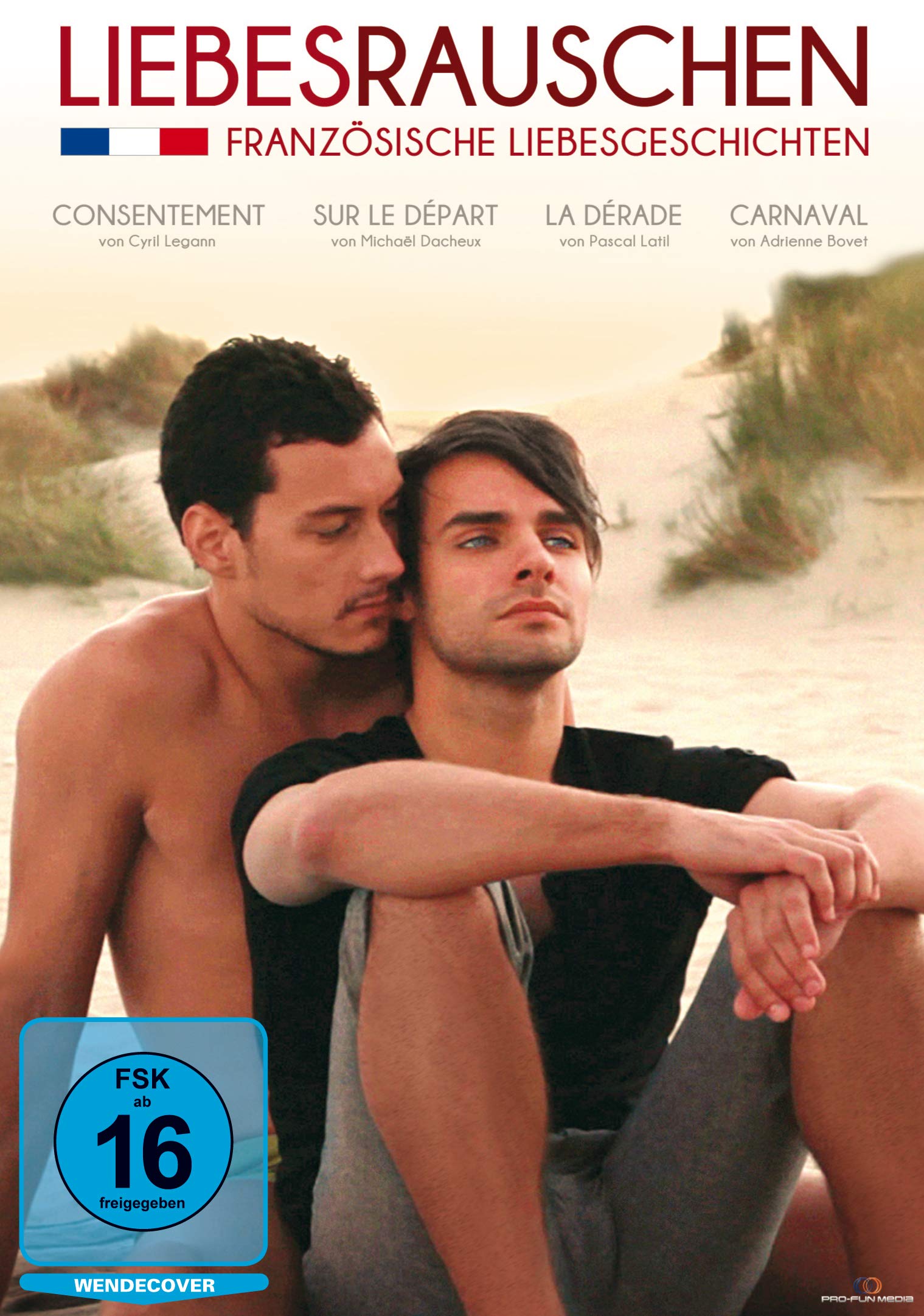 Liebesrauschen-Französische Liebesgeschichten (Kur dvd