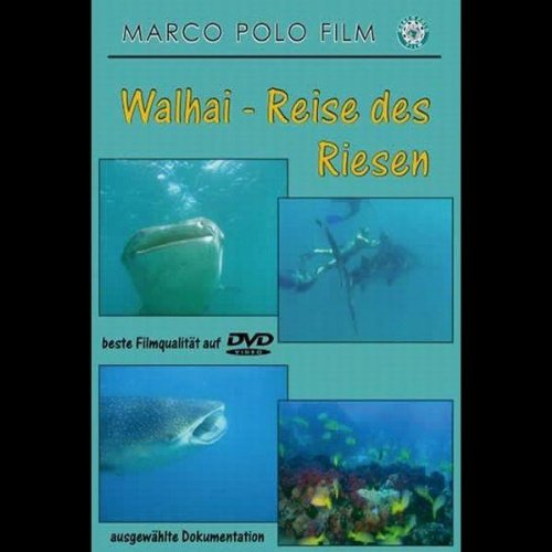 Walhaie - Reise der Riesen Films
