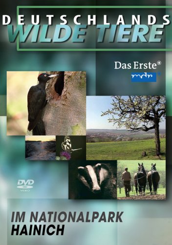 Deutschlands wilde Tiere - Im Nationalpark Hainich Films