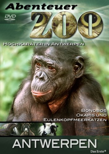 Product Image: Abenteuer Zoo - Antwerpen
