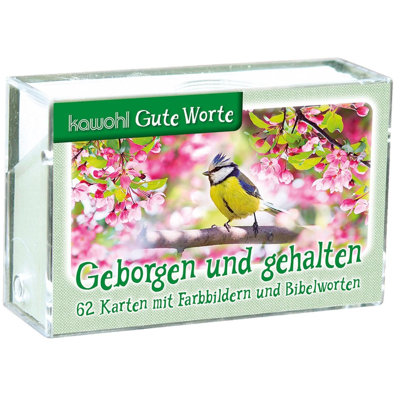 Geborgen und gehalten: 62 Karten mit Farbbildern und Bibelworten Religion & Esotericism