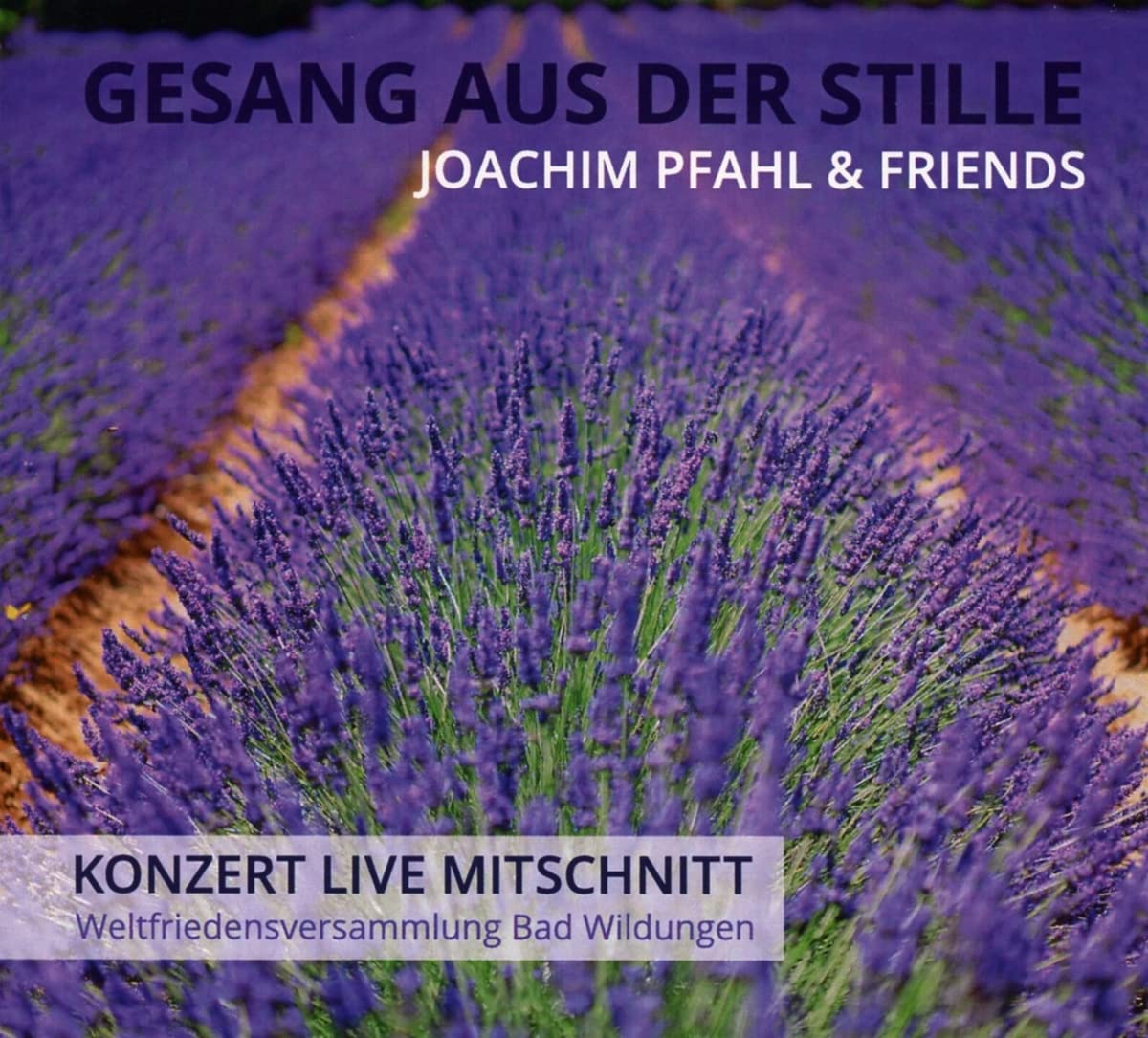 Gesang aus der Stille-Live Mitschnitt Konzert,S Dance & Electronic