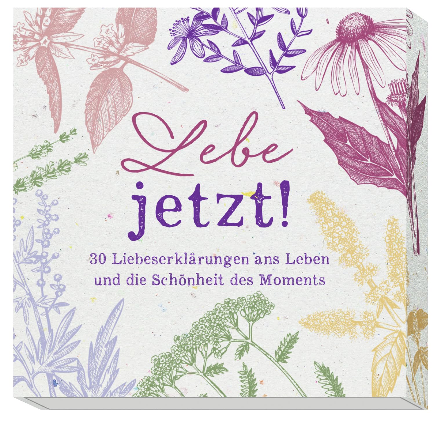 Lebe jetzt!: 30 Liebeserklärungen ans Leben und die Schönheit des Moments Lifestyle