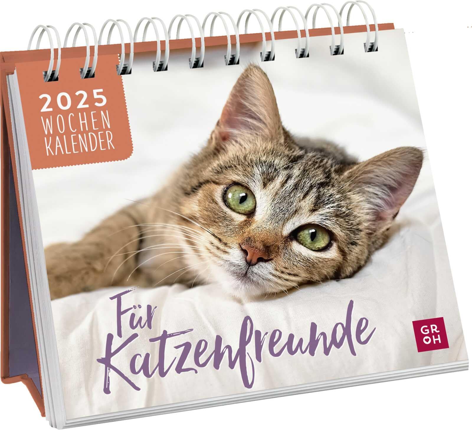 Mini-Wochenkalender 2025: Für Katzenfreunde: Katzenkalender zum Aufstellen. Tischkalender mit Wochenkalendarium Calendars