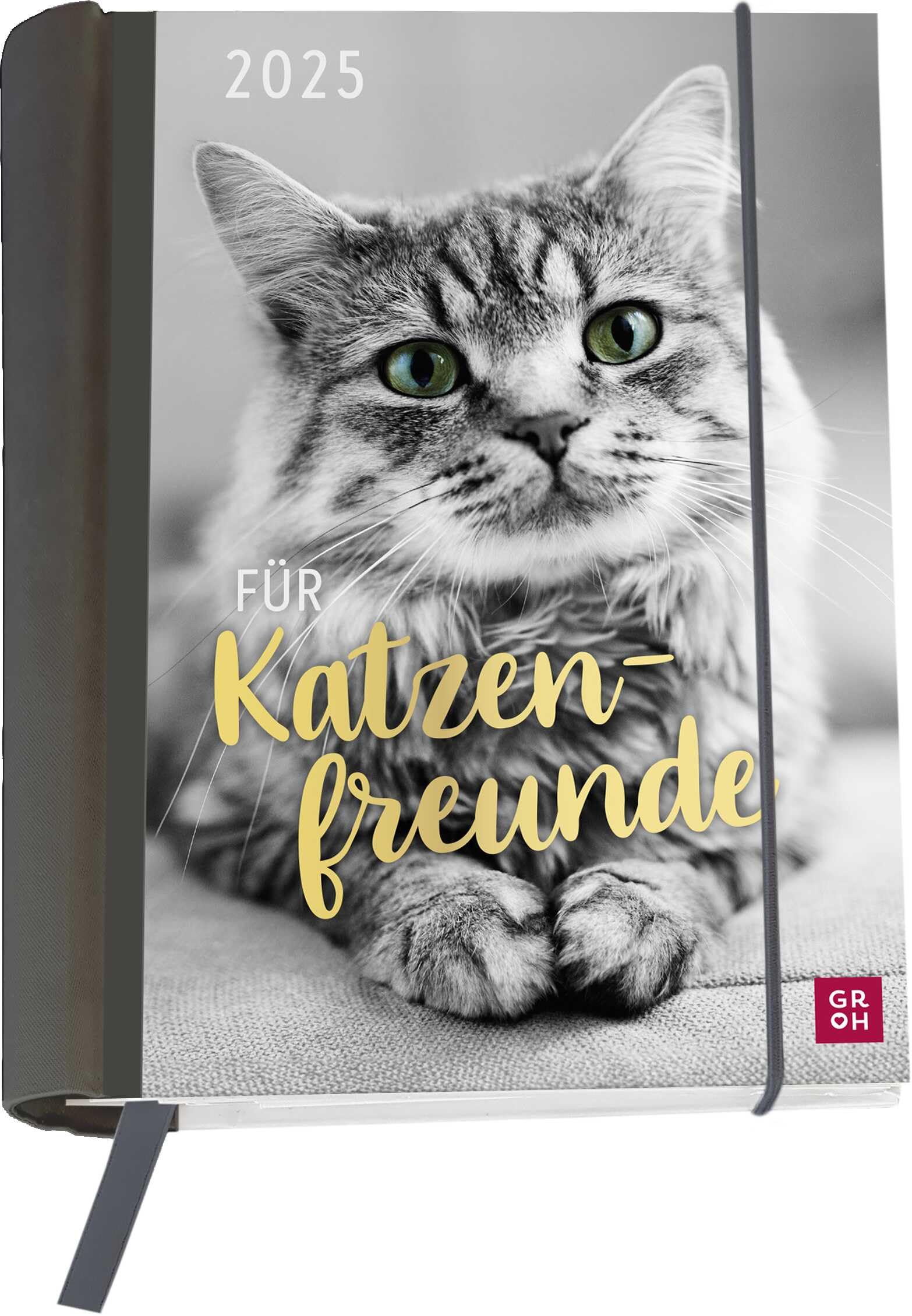 Buchkalender 2025: Für Katzenfreunde: Katzenkalender goldveredelt. Wochenplaner | Terminplaner | Organizer. Praktischer kleiner Taschenkalender, 12 heraustrennbare Postkarten inkl. Calendars