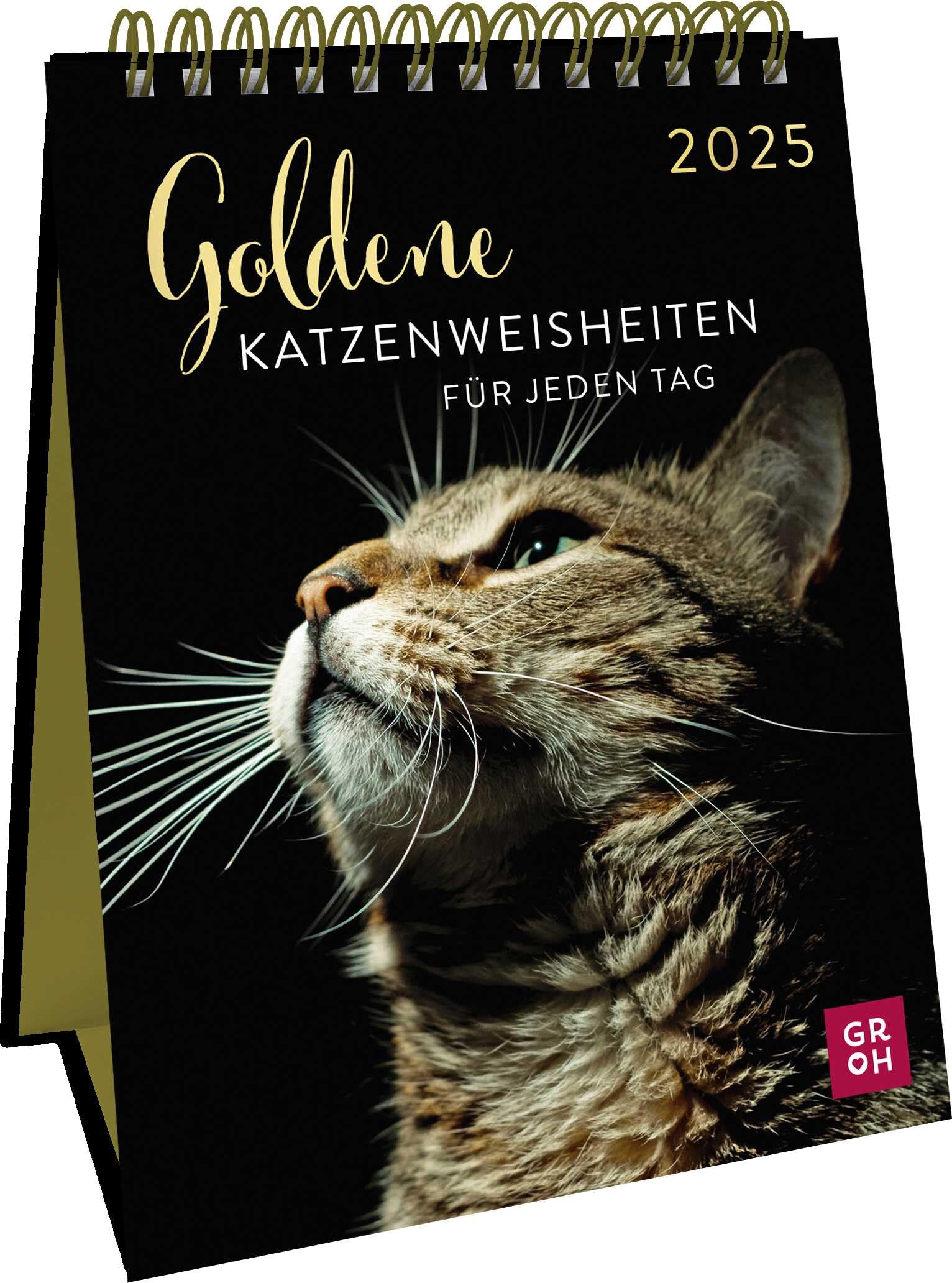 Wochenkalender 2025: Goldene Katzenweisheiten für jeden Tag: Eleganter Katzenkalender mit Katzenfotos und Zitaten in edler Goldoptik. Tischkalender zum Aufstellen im Hochformat Calendars