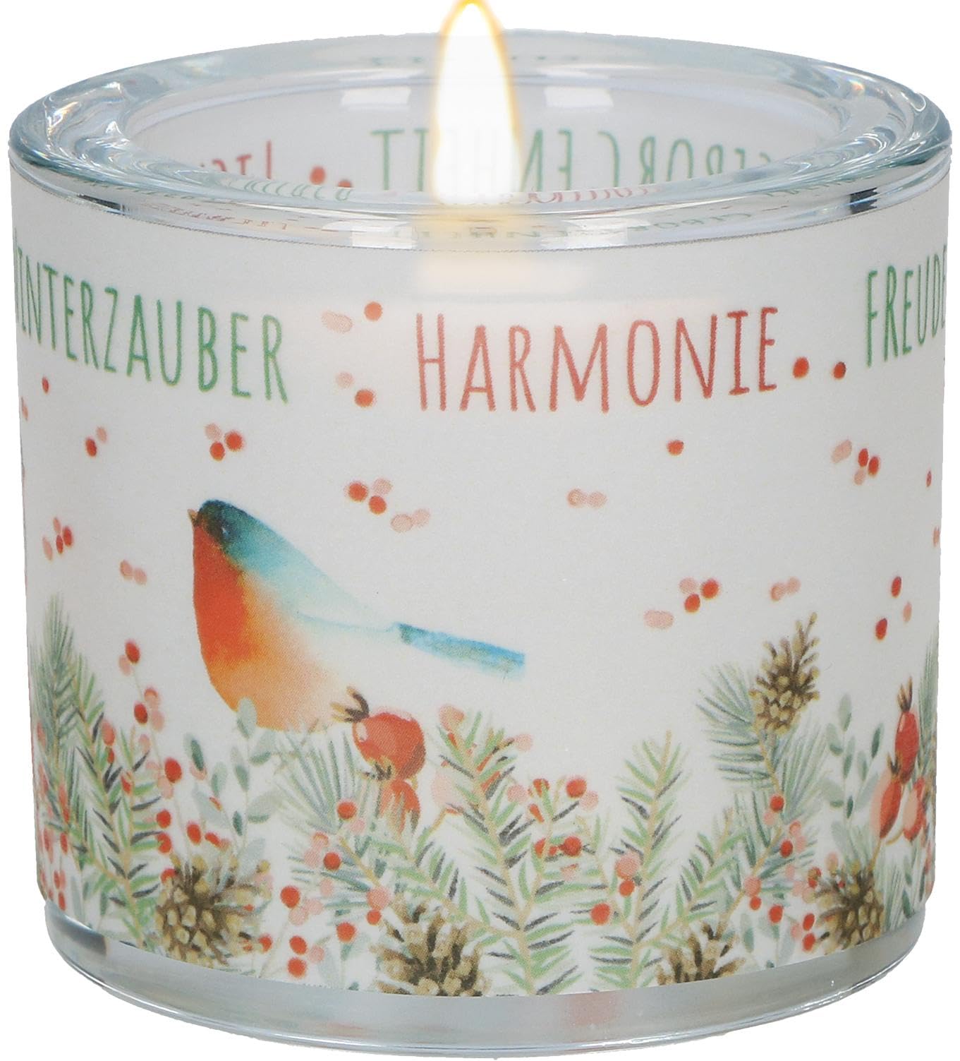 Butzon & Bercker Lichtmomente – Windlicht Winterzauber | Christlicher Teelichthalter mit Spruch zur Weihnachtszeit, mundgeblasen inkl. Teelicht & Geschenkbox für Familie & Freunde Film, Art & Culture