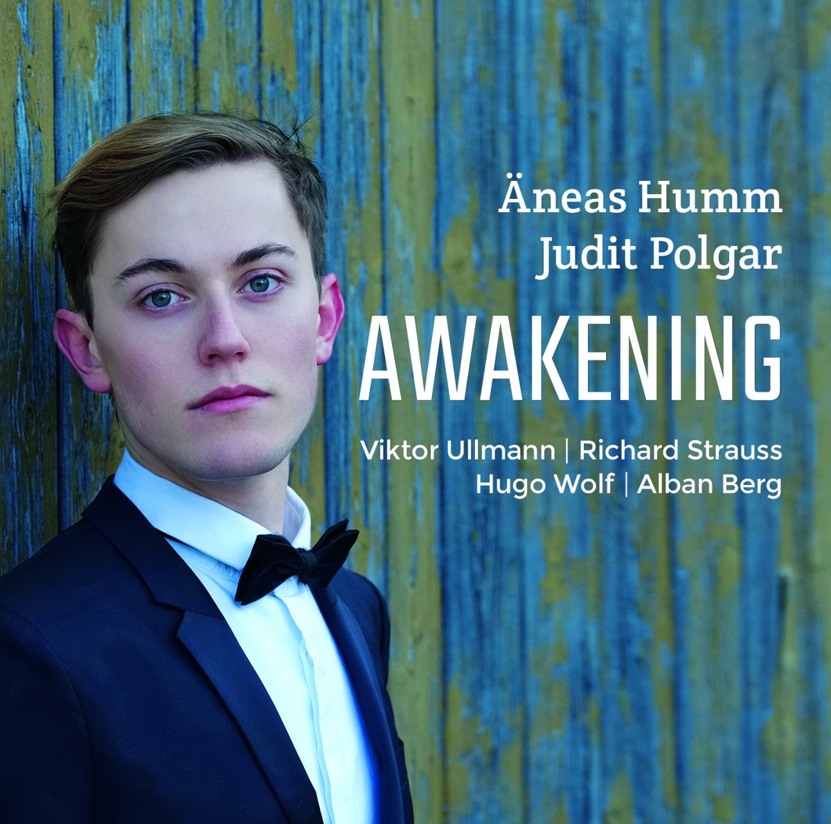 Product Image: Awakening