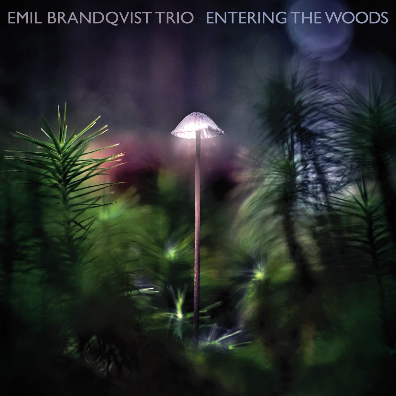 Entering the Woods (Digipak) Jazz
