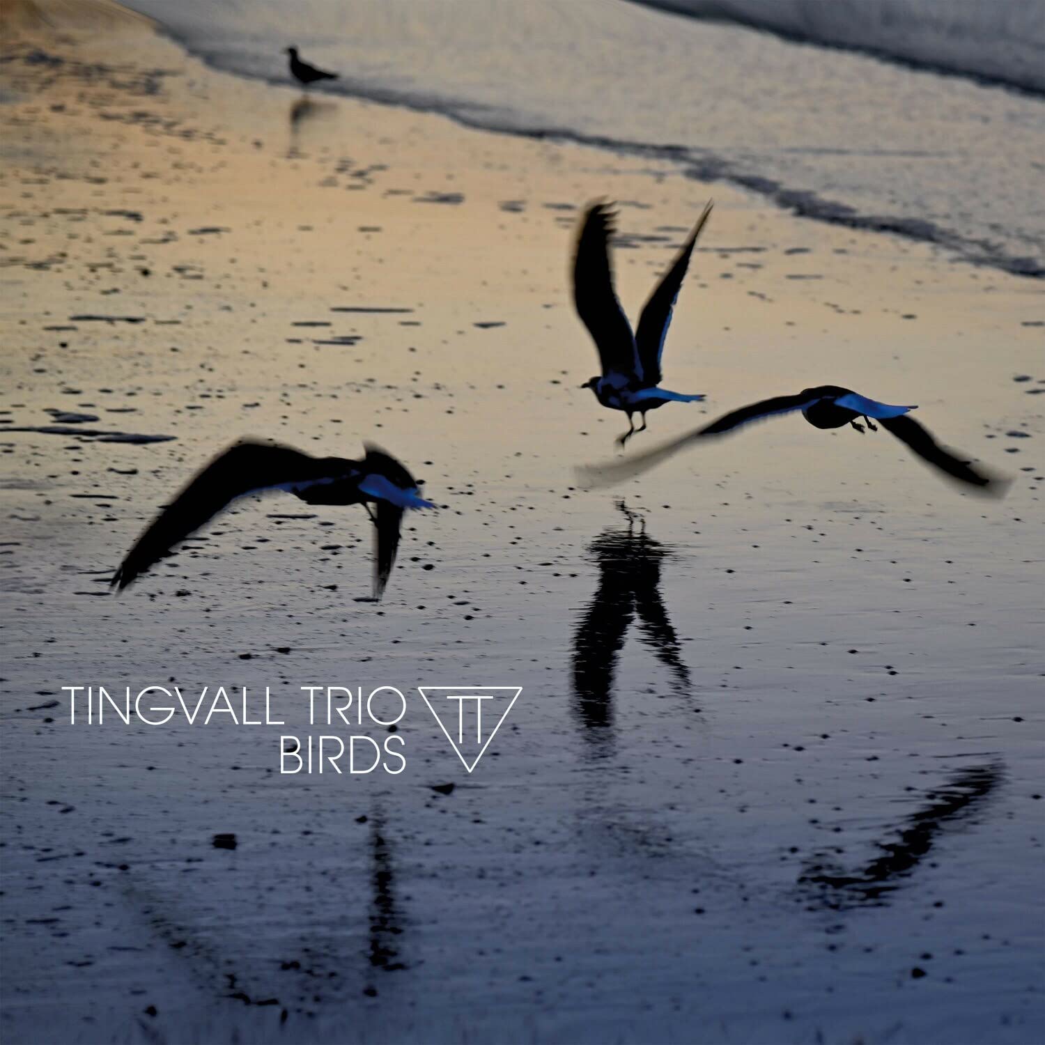 Birds (180 Gr. Black Vinyl) Jazz