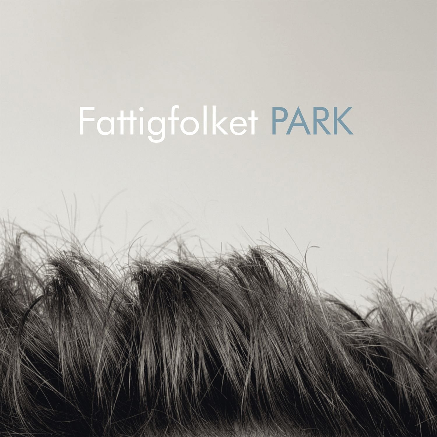 Park Music