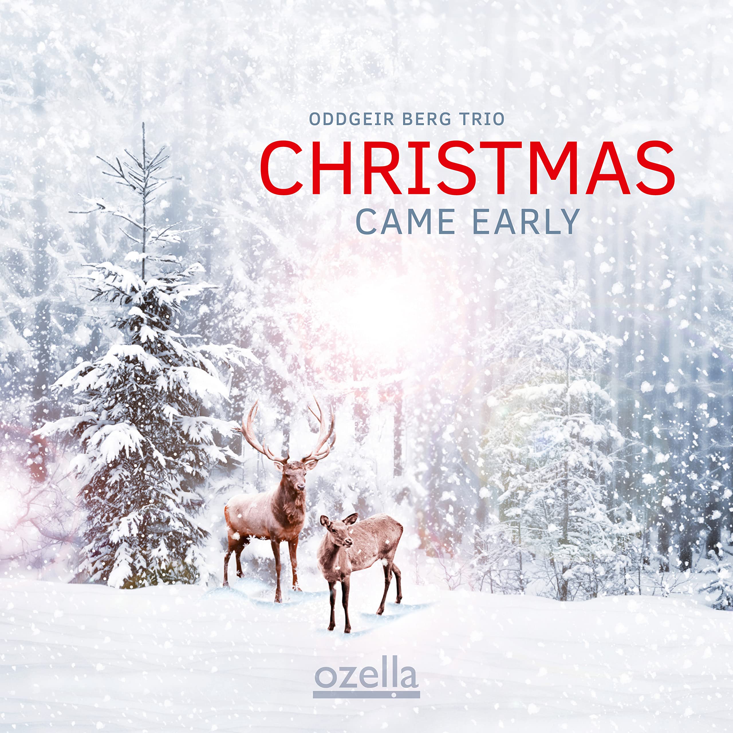 Product Image: Christmas Came Early
