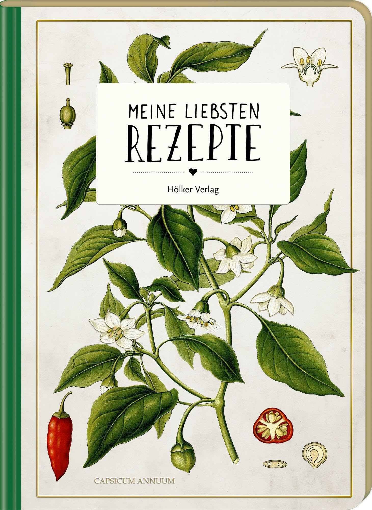 Meine liebsten Rezepte - Wildkräuter: Einschreibbuch (Sammlung Augustina): Mit Farbschnitt, separater Zutatenliste und Inhaltsverzeichnis zum Selbstgestalten Leisure, Home & Garden