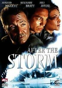 After the Storm Movies