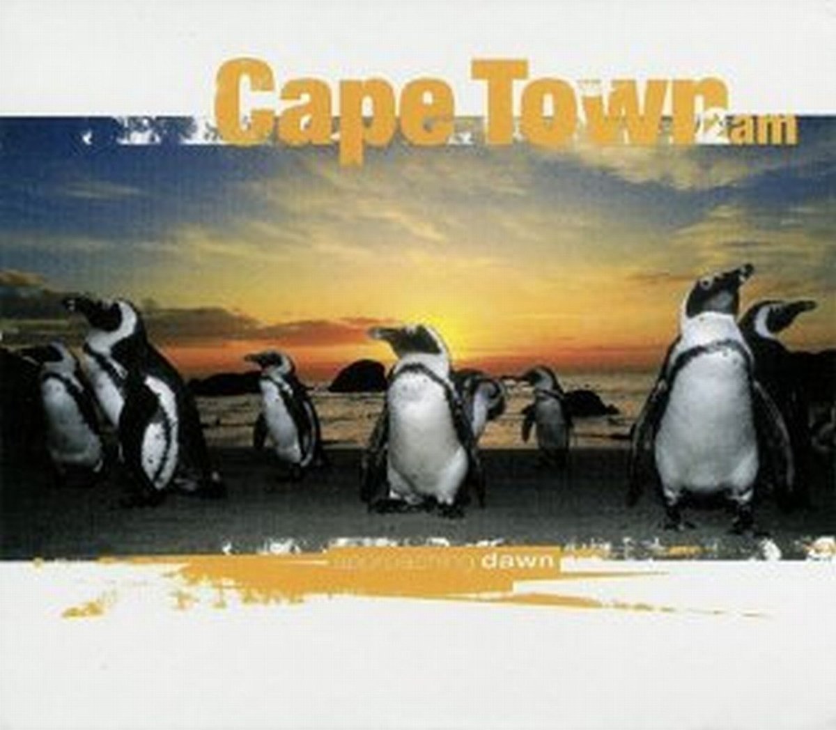 Product Image: Cape Town 2 AM - Approaching Dawn
