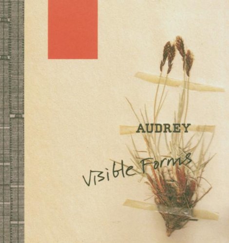 Visible Forms Alternative & Indie