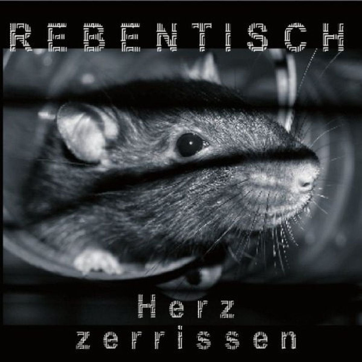 Product Image: Herz Zerrissen