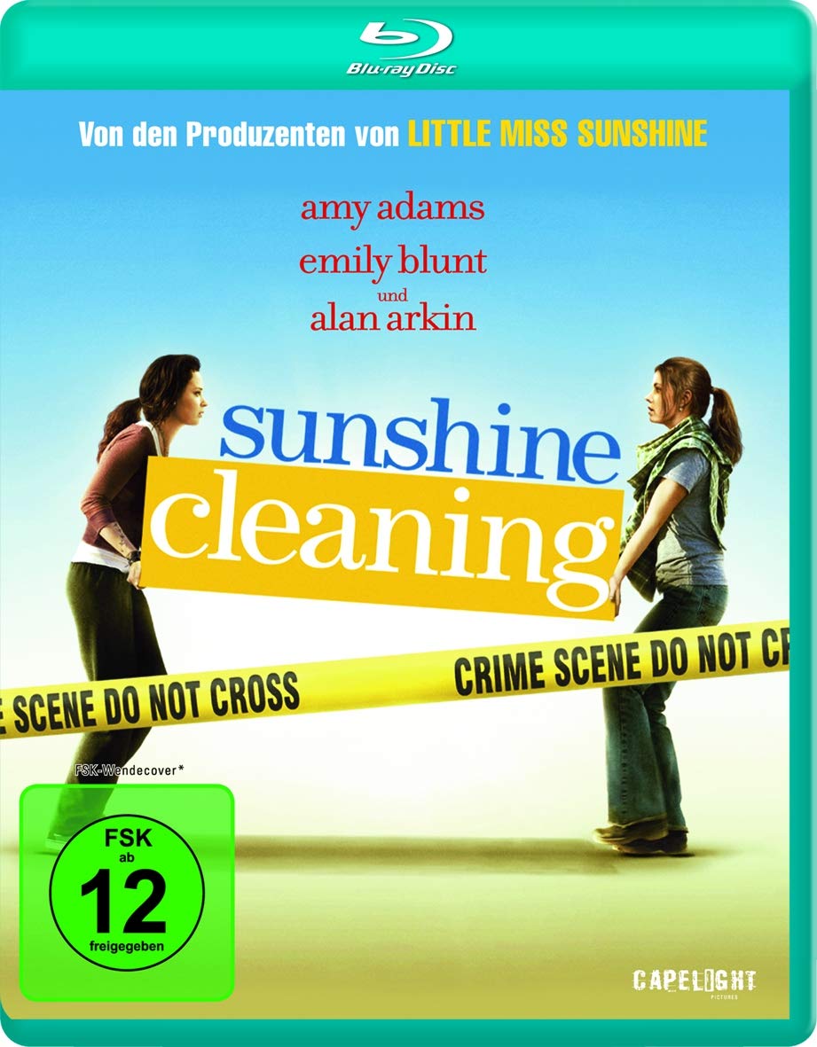 Sunshine Cleaning Movies