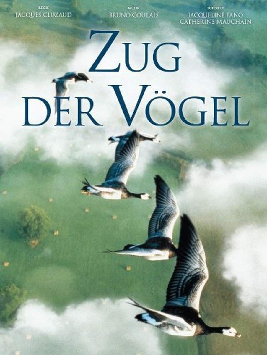 Product Image: Zug der Vögel