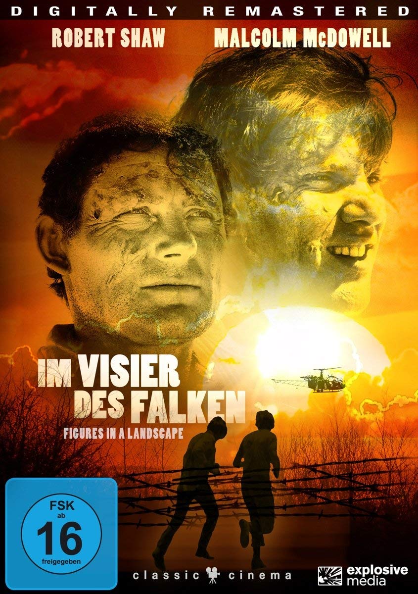 Im Visier des Falken Films