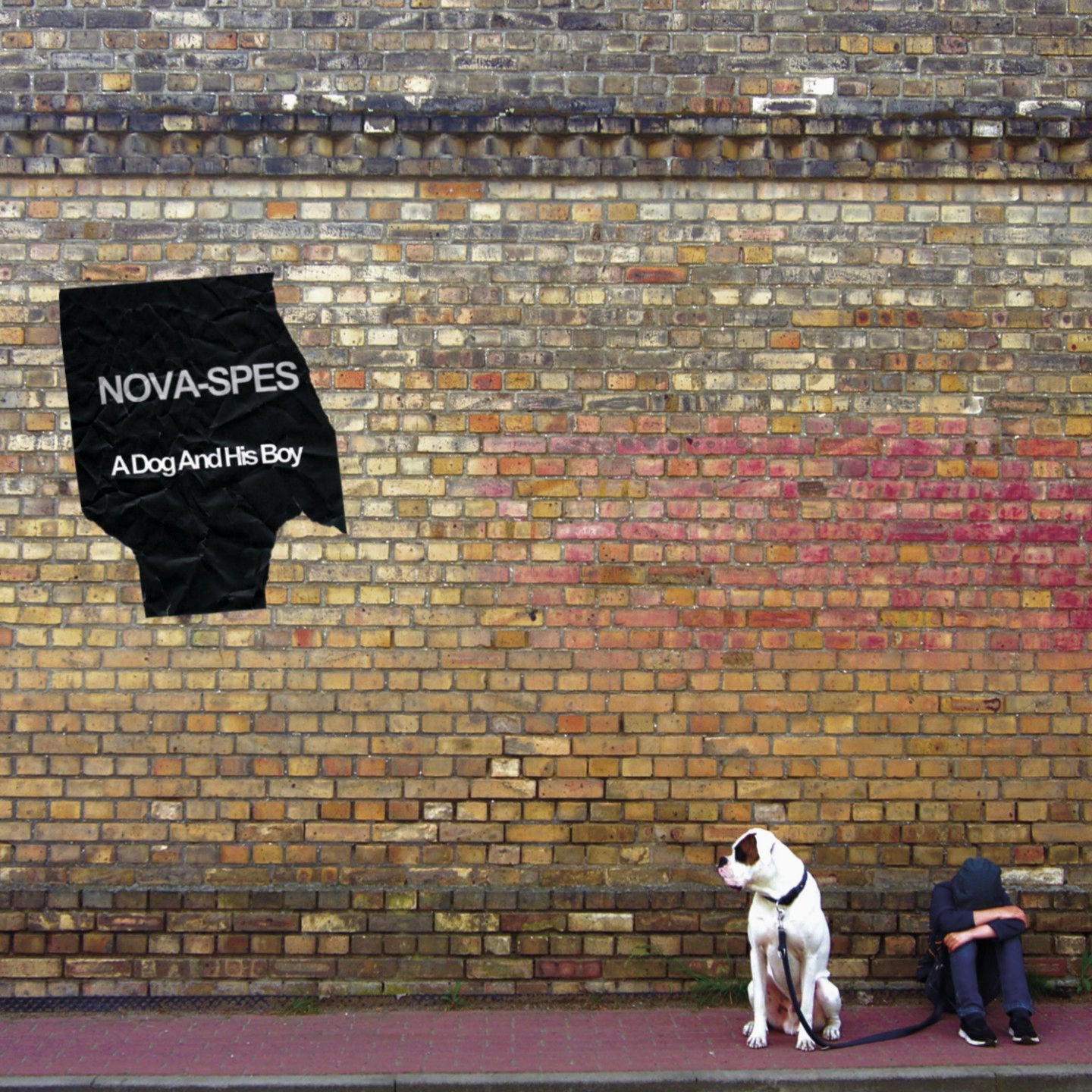 Product Image: A Dog And His Boy