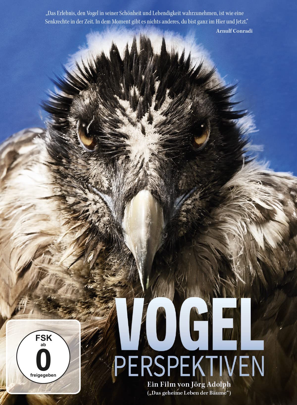 Vogelperspektiven Movies