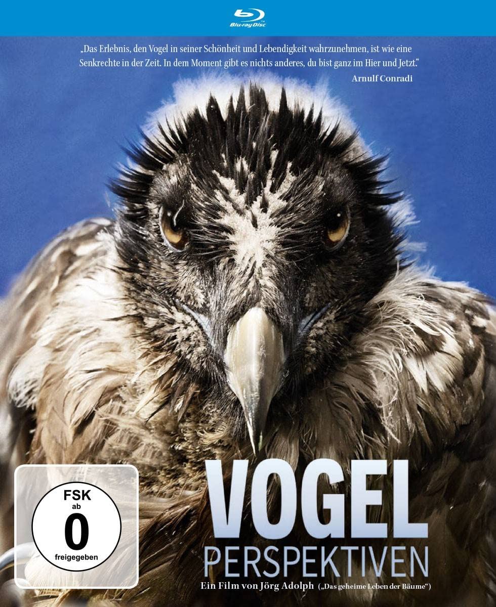 Vogelperspektiven Movies