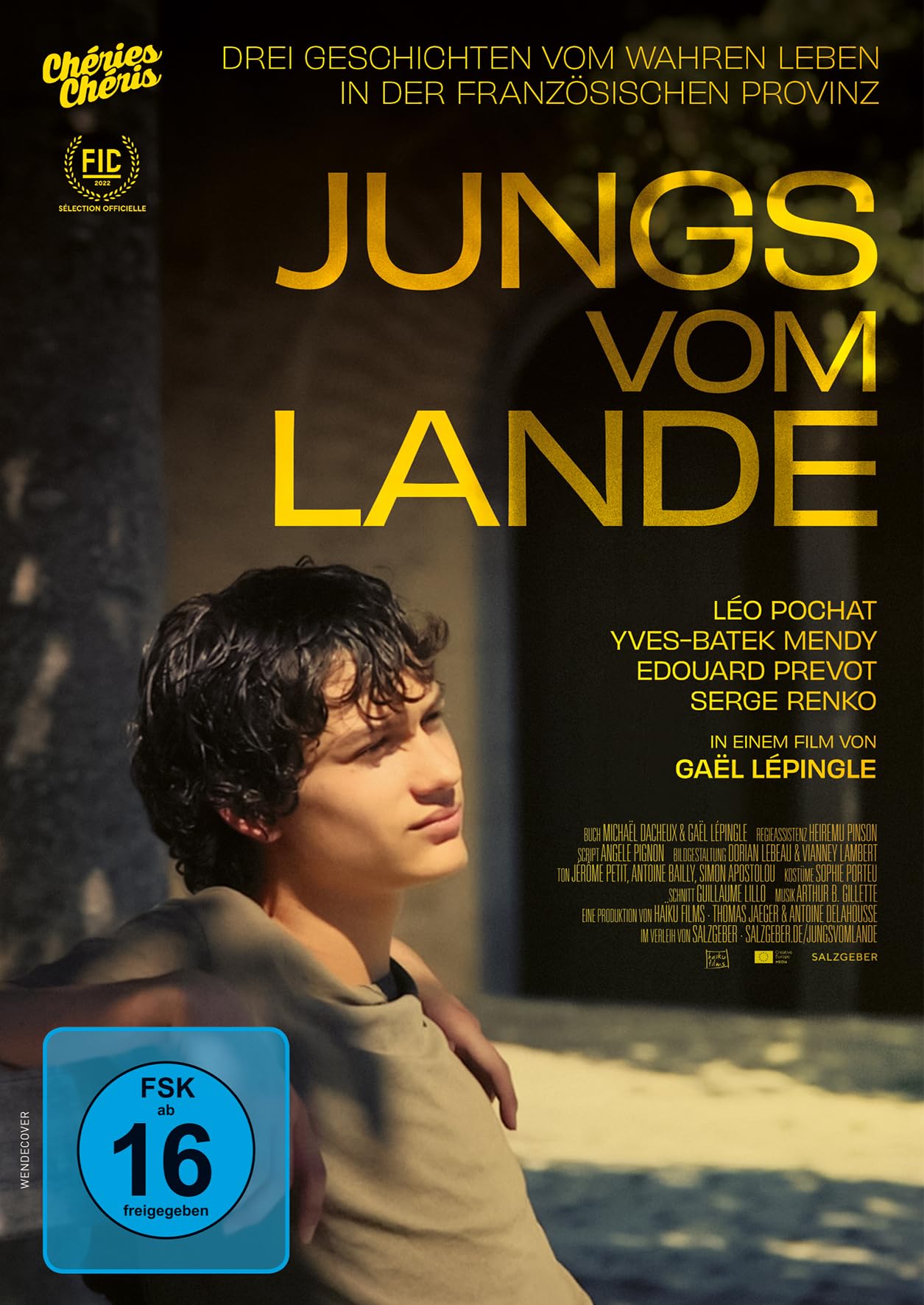 Jungs vom Lande Movies