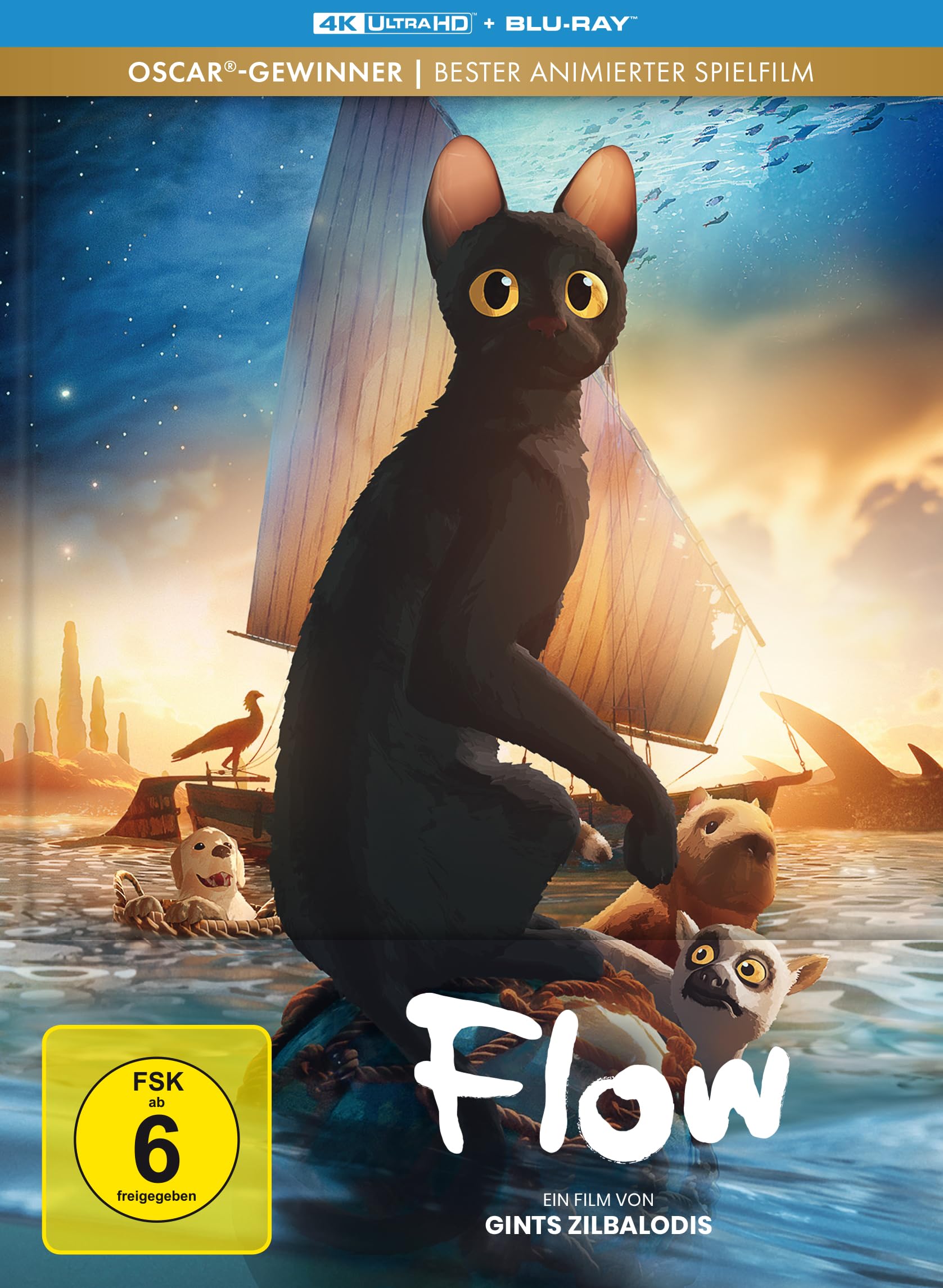 Flow - Limitiertes Mediabook (4K Ultra HD + Blu-ray) Films
