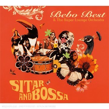 Sitar and Bossa Other music genres