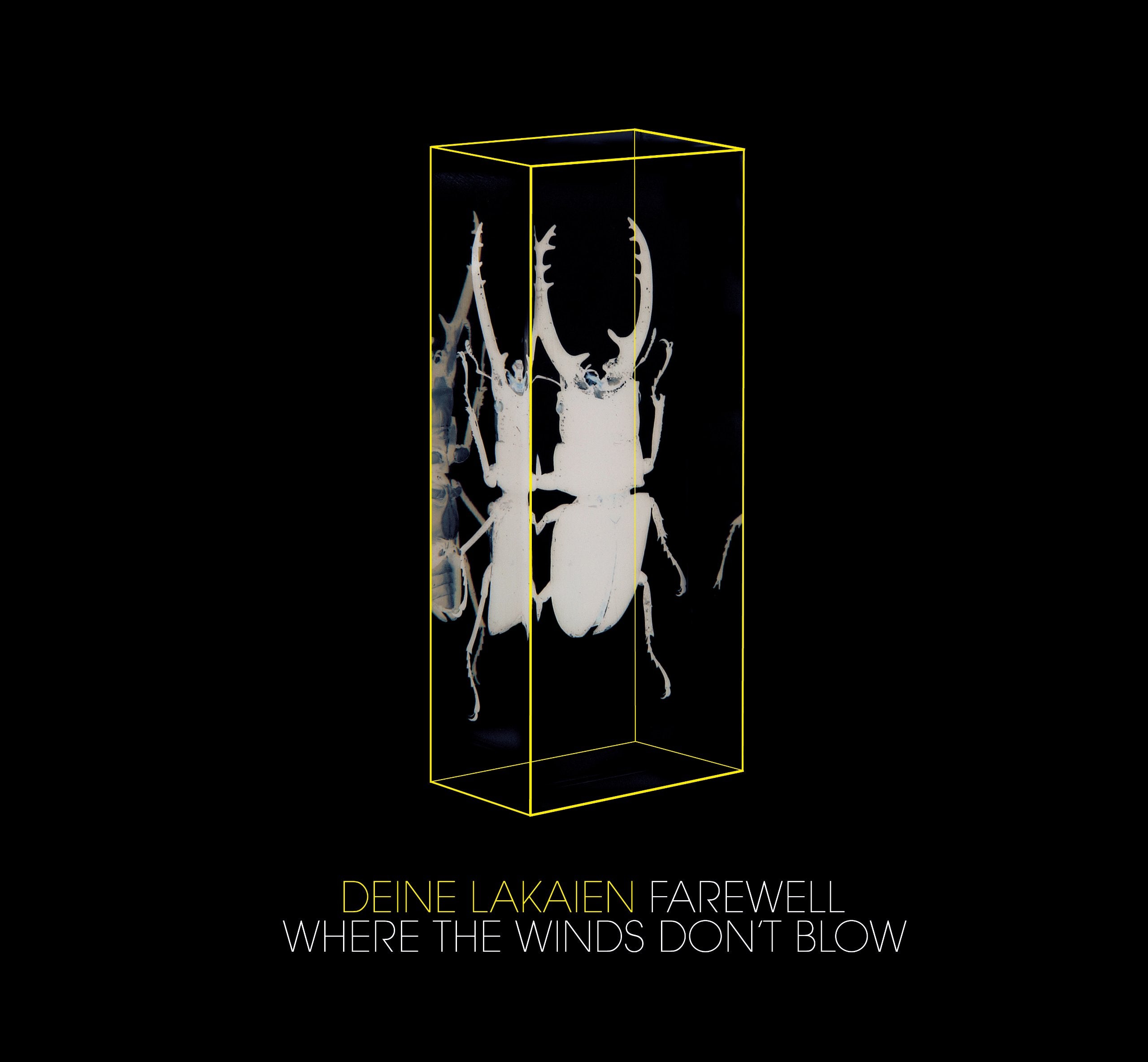 Farewell/Where The Winds Don't Blow cd