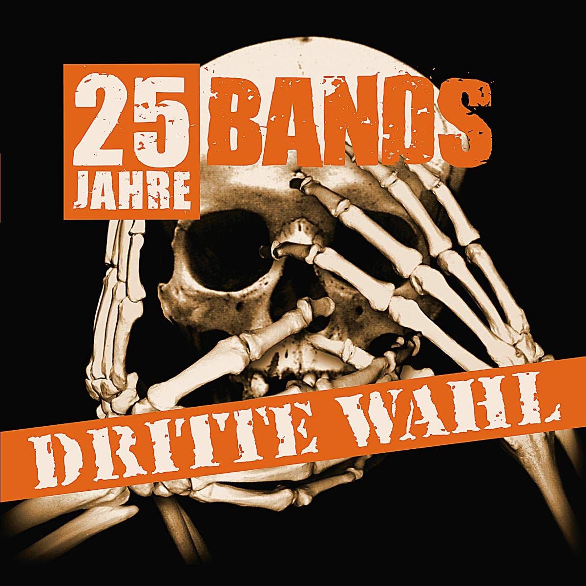 Dritte Wahl:25 Jahre-25 Bands Alternative & Indie