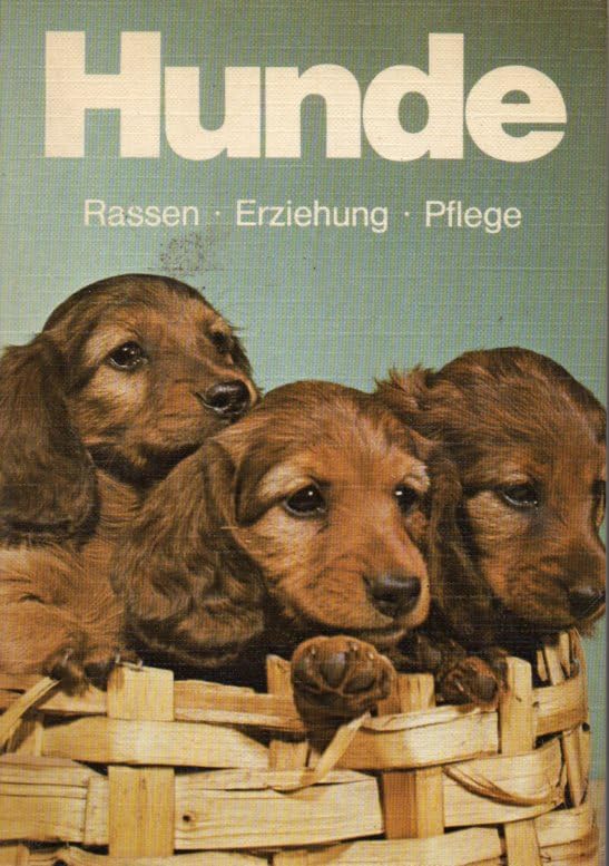 Hunde. Rassen, Erziehung, Pflege Books