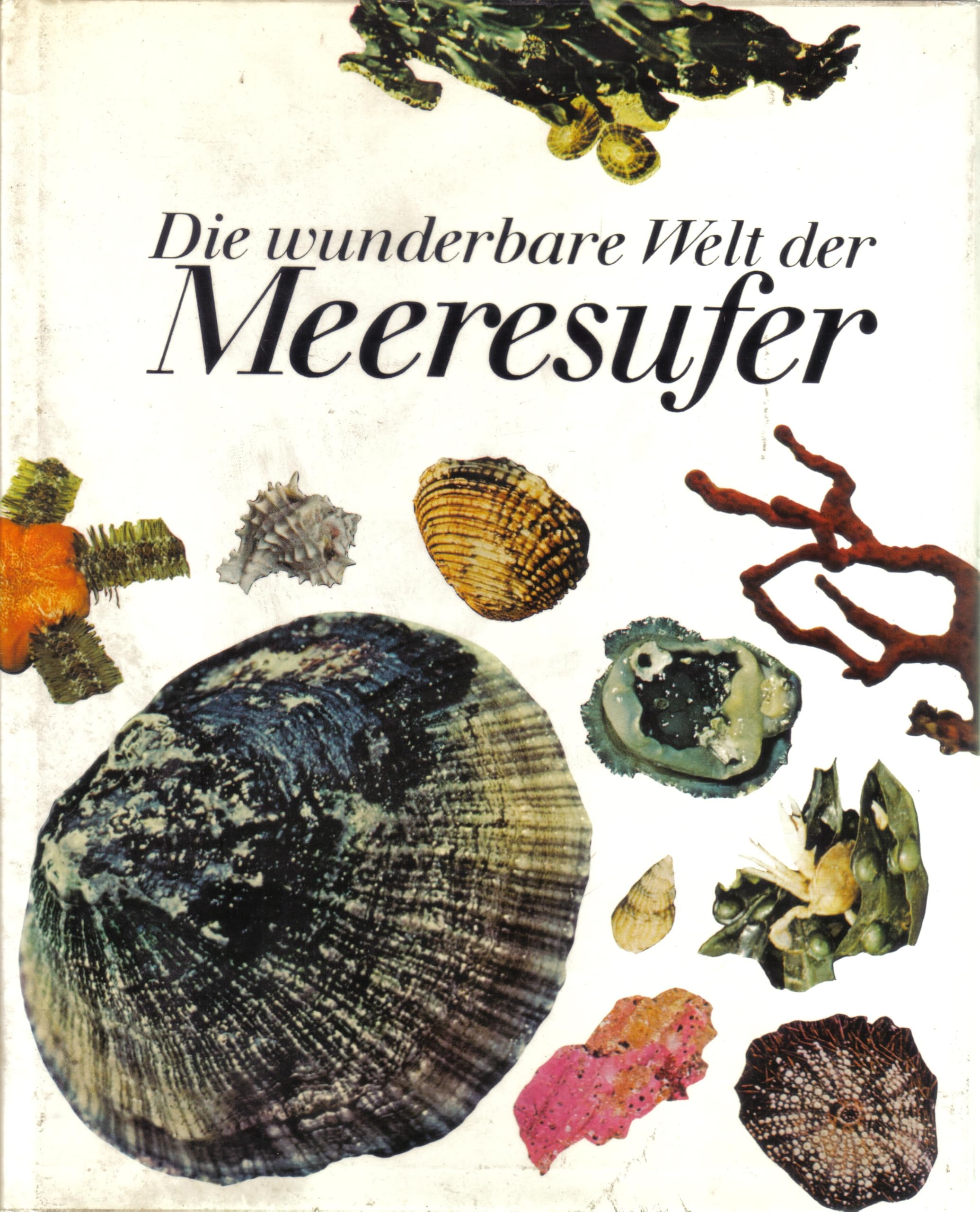 Product Image: Die wunderbare Welt der Meeresufer