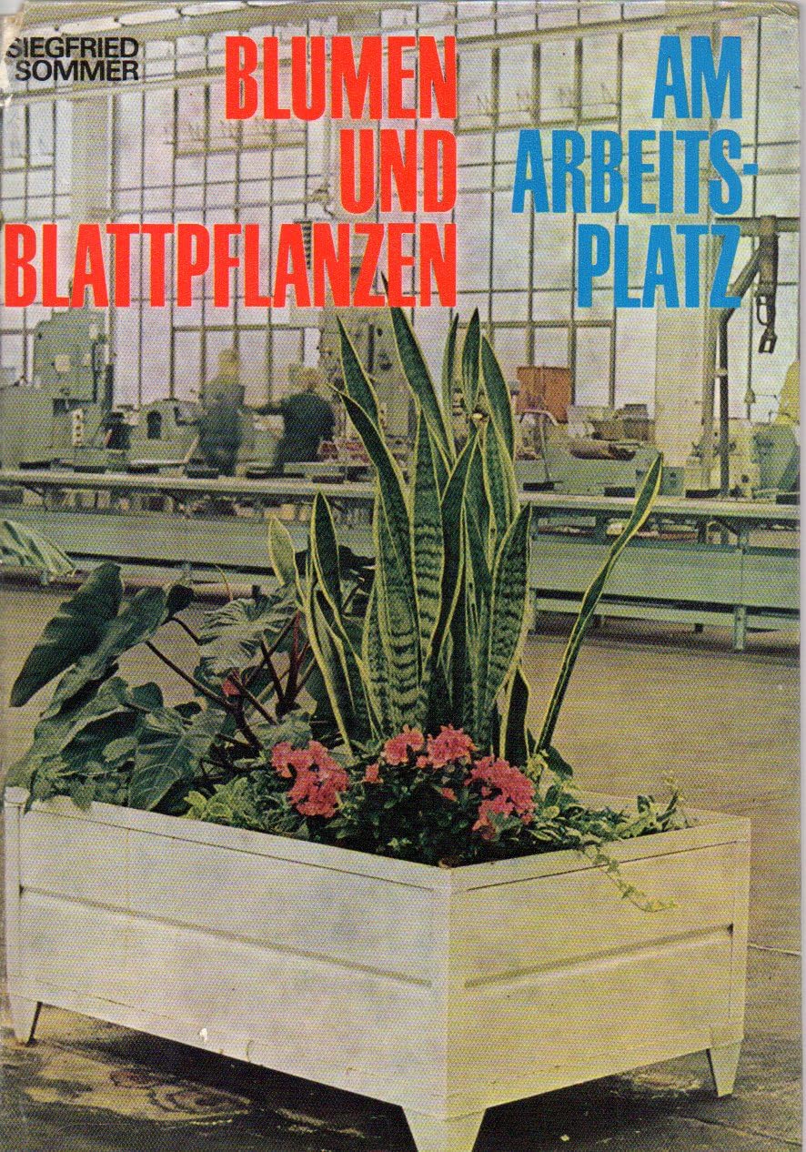 Product Image: Blumen und Blattpflanzen am Arbeitsplatz