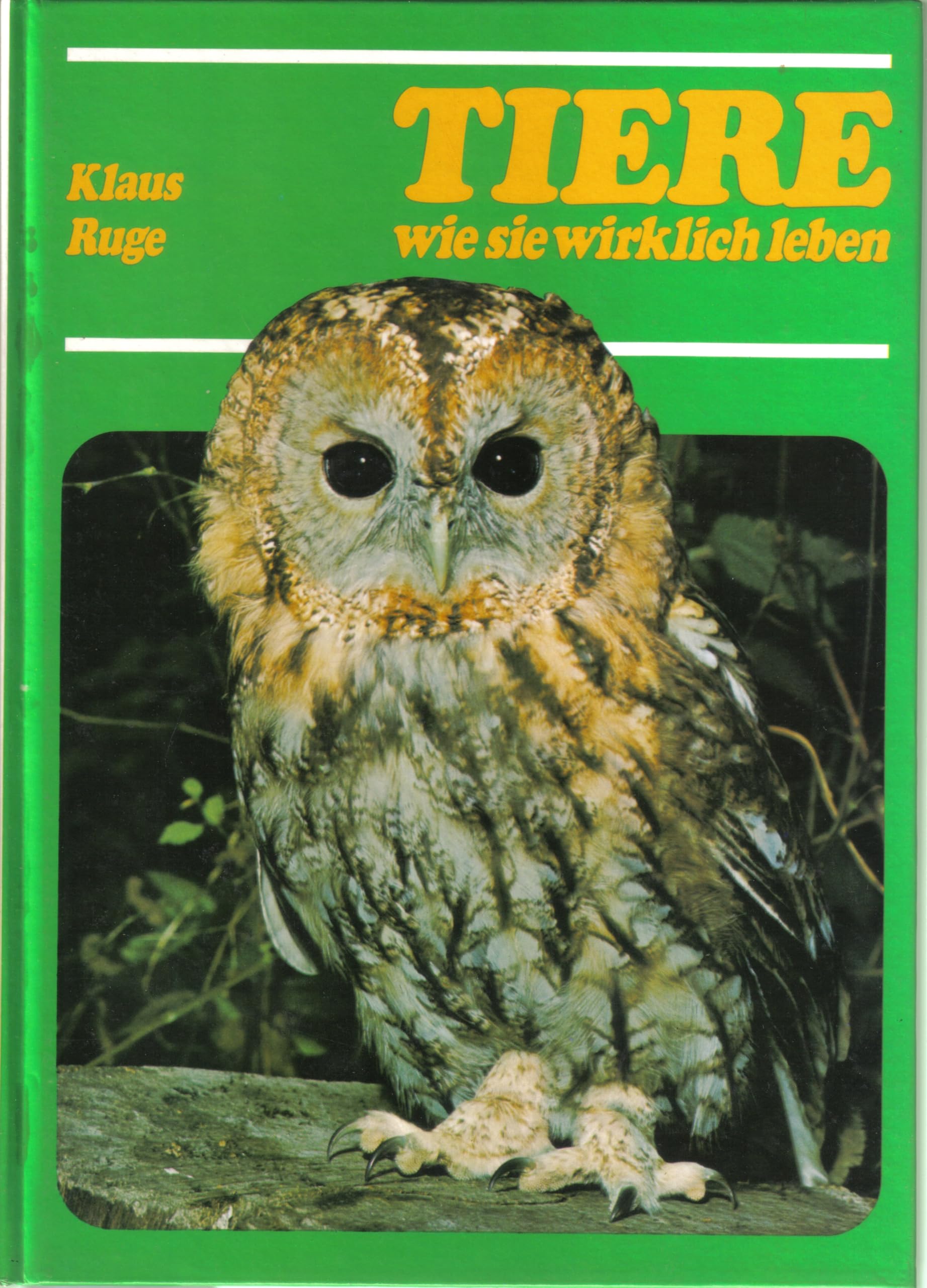 Tiere wie sie wirklich leben Books