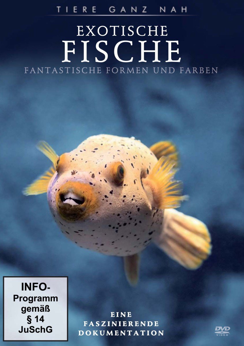Exotische Fische - Fantastische Formen und Farben - Tiere ganz nah Movies