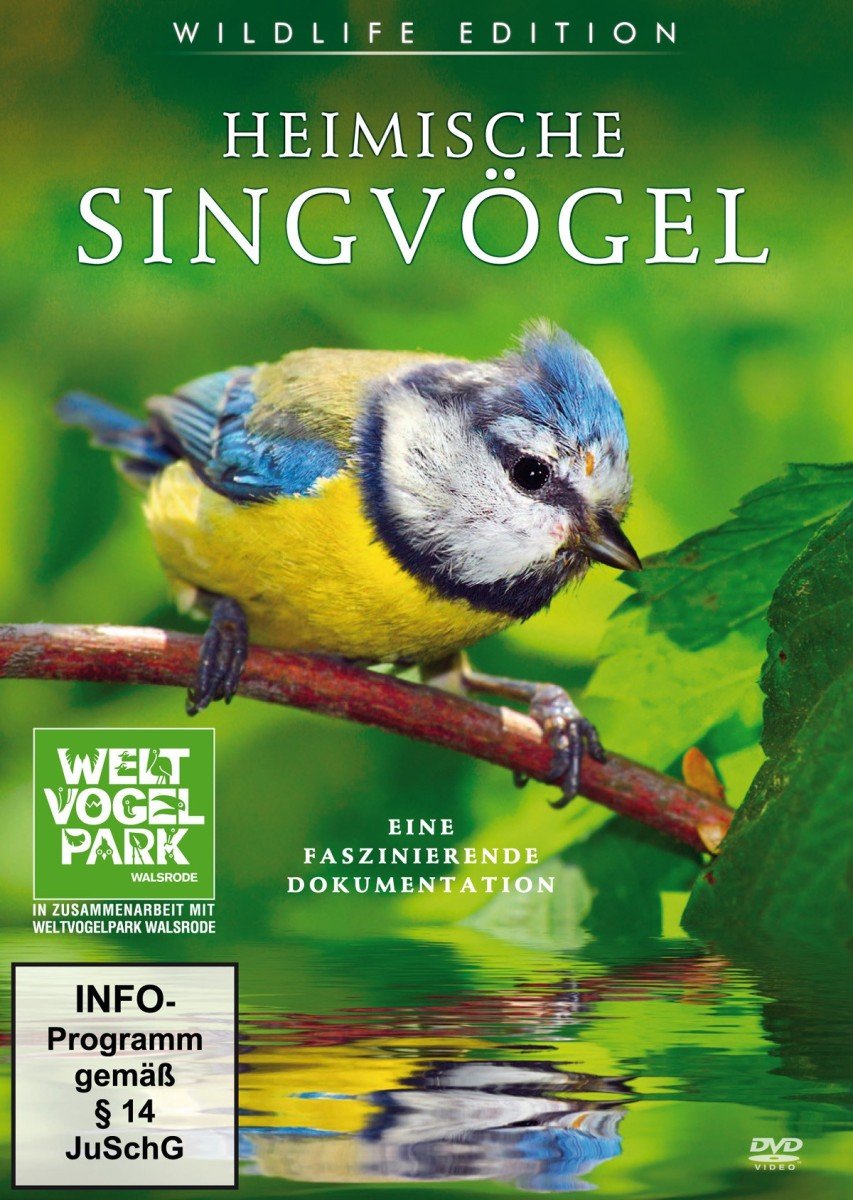 Product Image: Heimische Singvögel