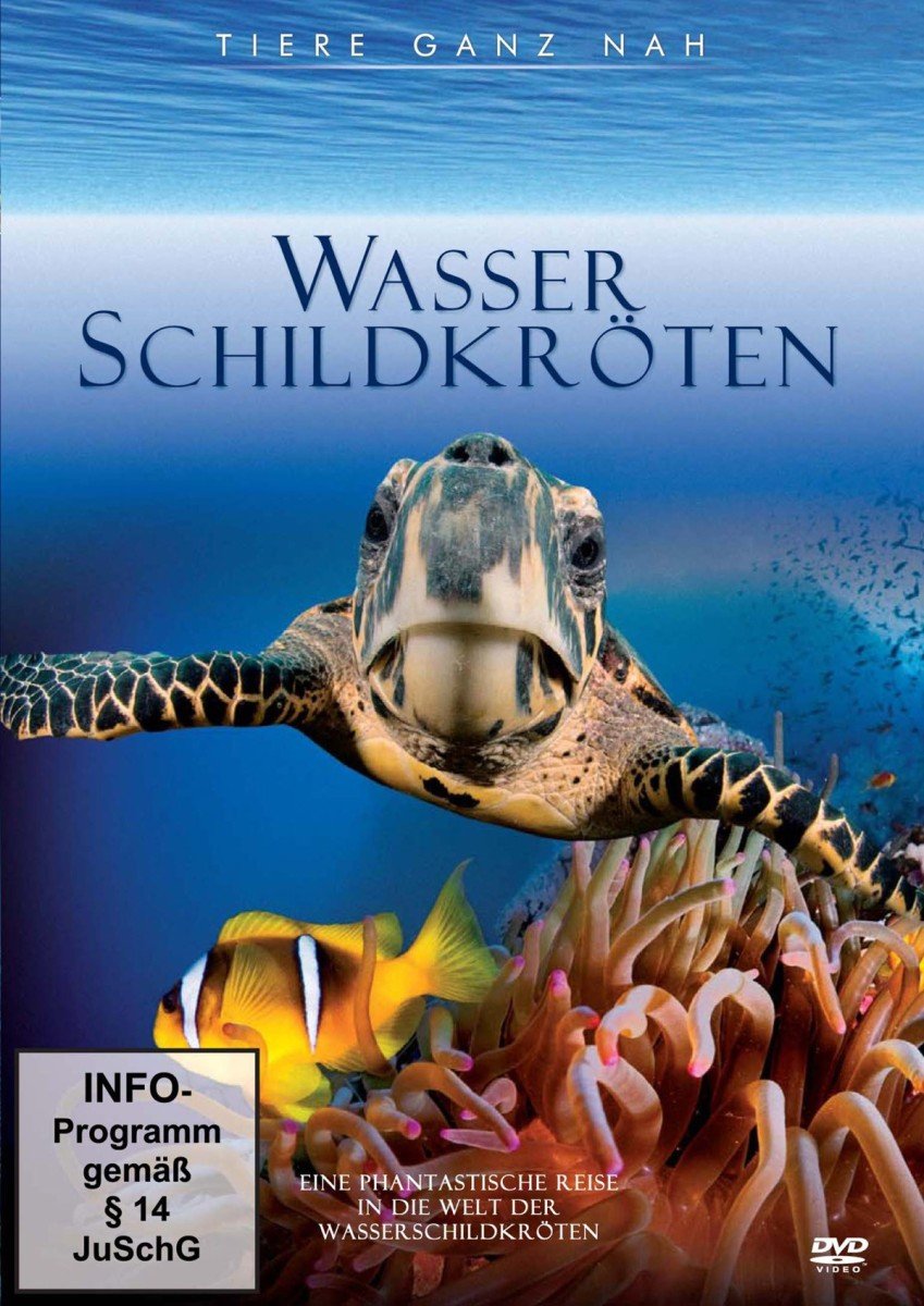 Wasserschildkröten - Tiere ganz nah Films