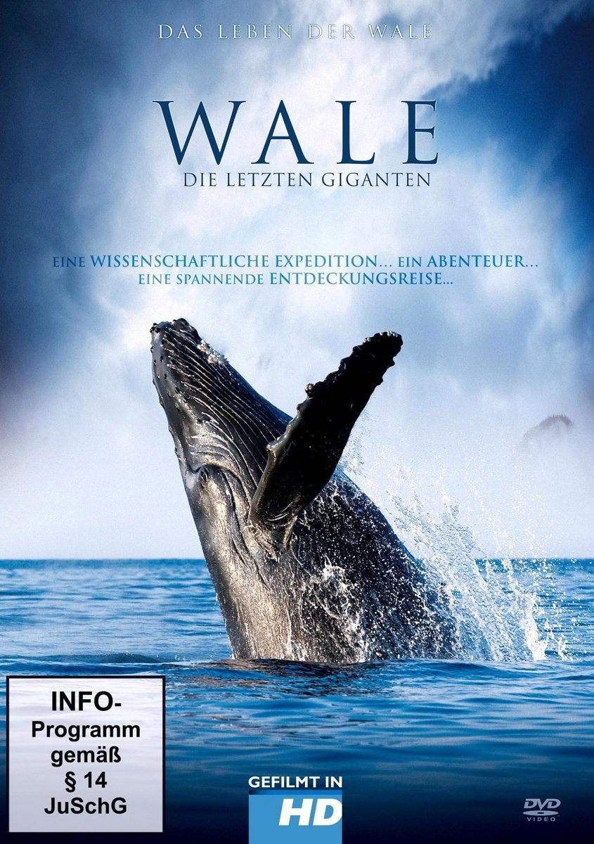 Wale - Die letzten Giganten Films
