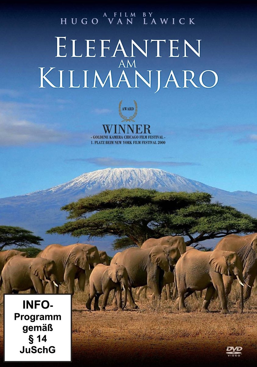 Elefanten am Kilimanjaro Films