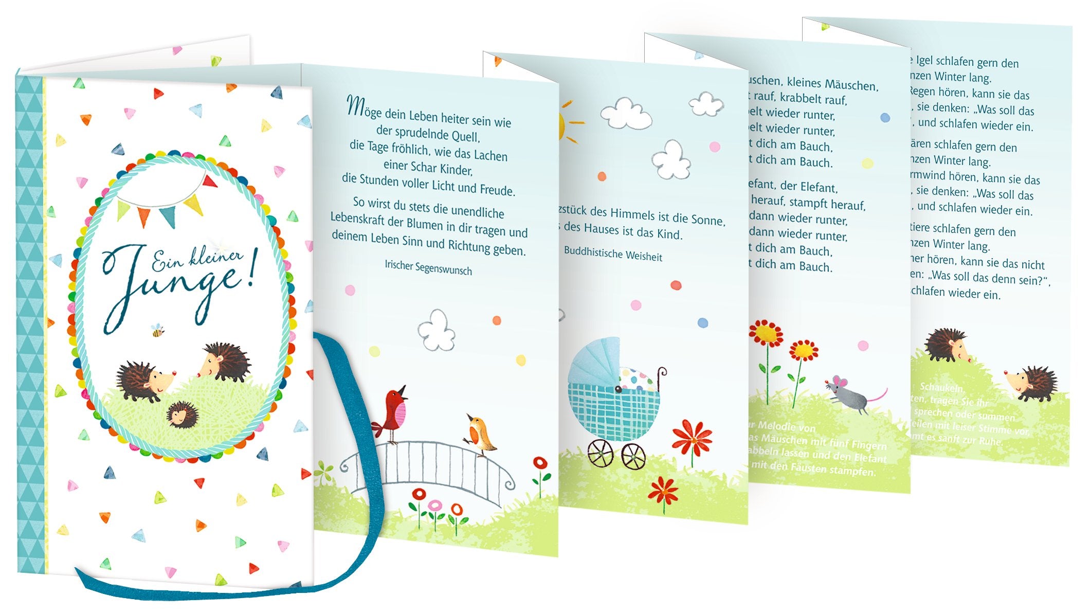 Leporello-Büchlein - Ein kleiner Junge!: (Verkaufseinheit) Health, Nutrition & Fitness