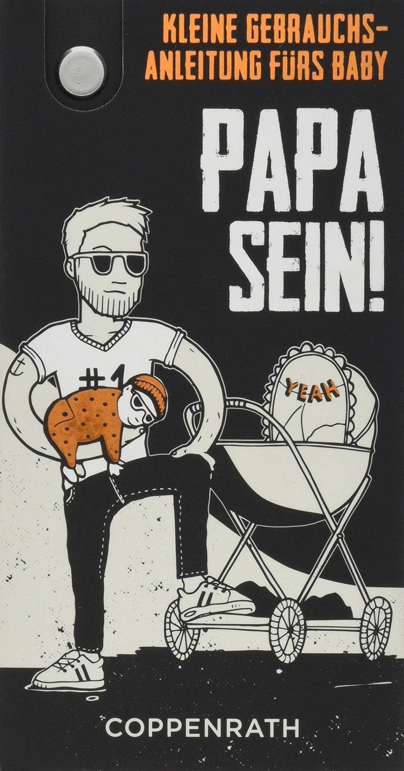 Fächerbuch - Papa sein!: Kleine Gebrauchsanleitung fürs Baby Parents & Children