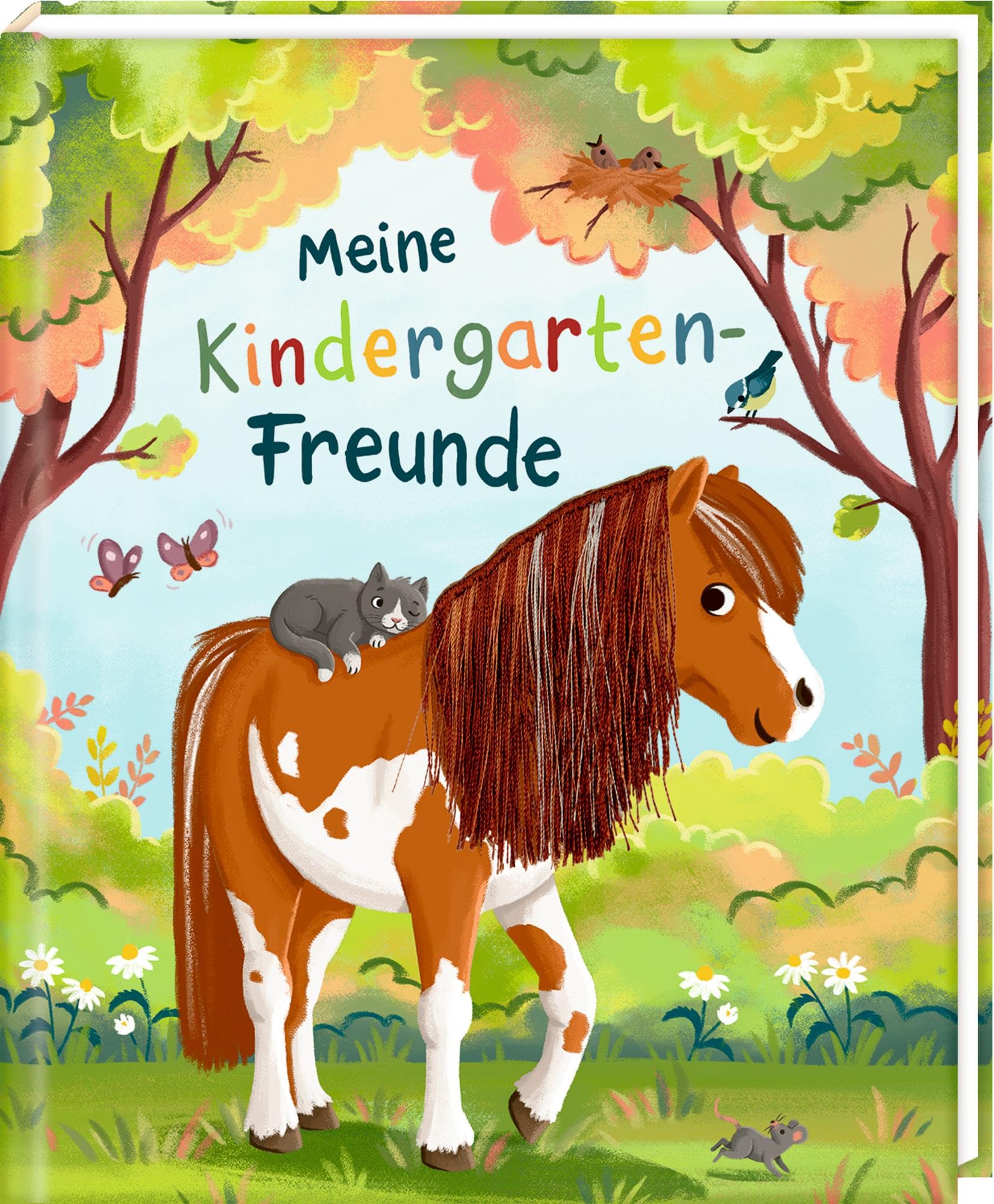 Freundebuch - Meine Kindergarten-Freunde Non-fiction