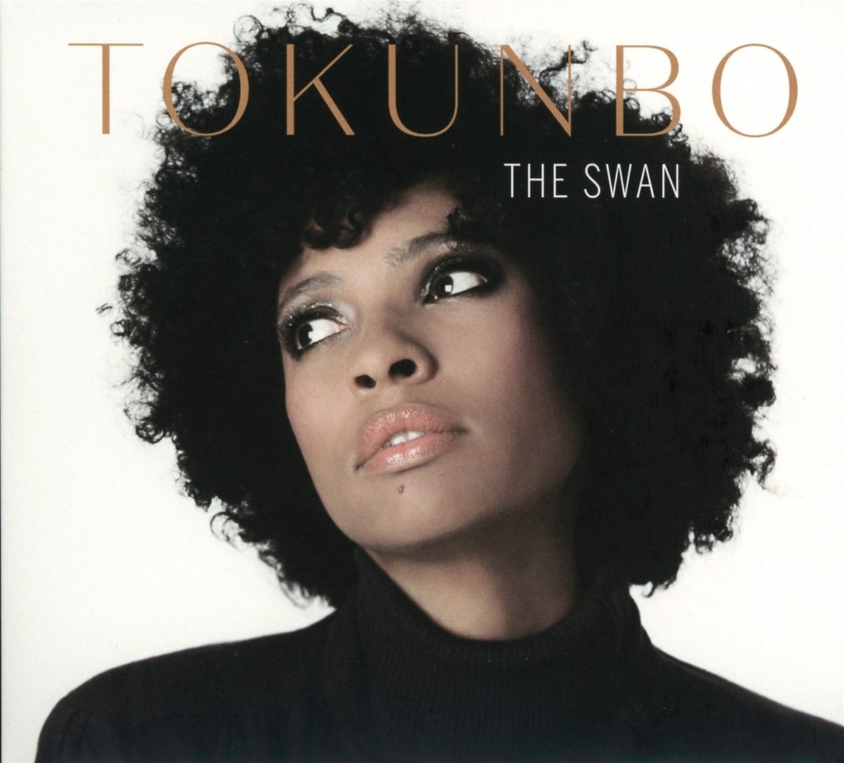 The Swan Jazz