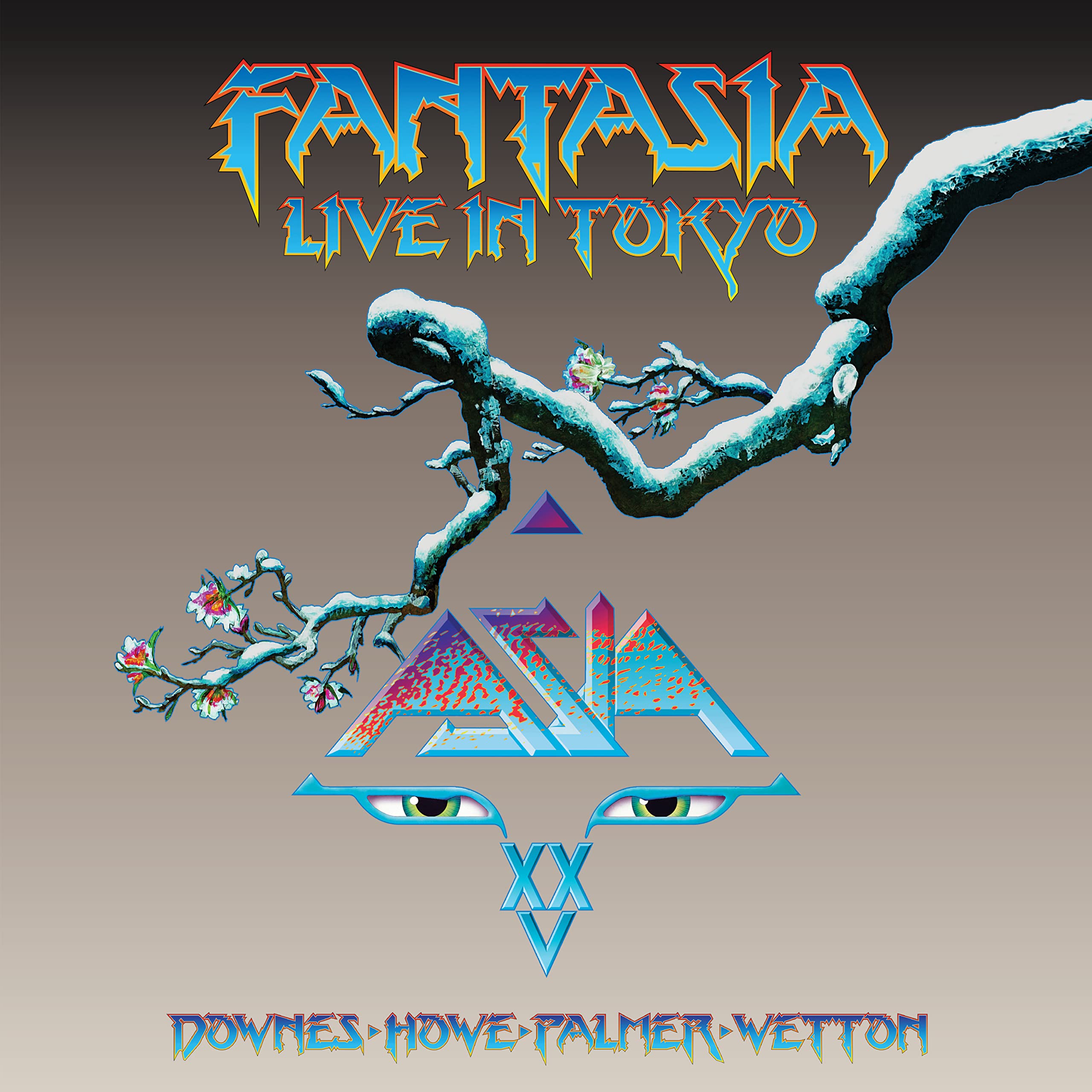 Fantasia,Live in Tokyo 2007 Rock