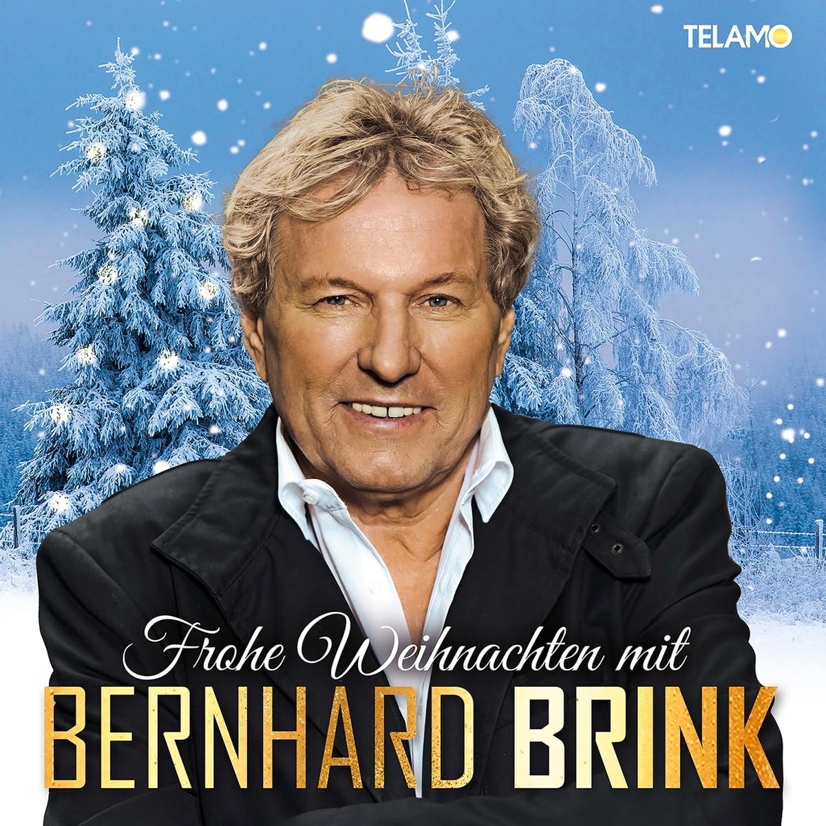 Frohe Weihnachten mit Bernhard Brink German Schlager & Volksmusik