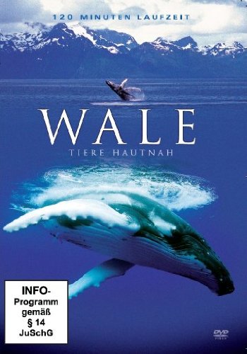 Wale - Tiere hautnah Films